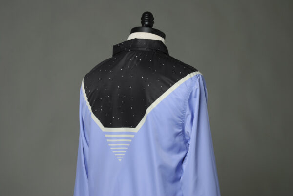 Gold Wing (Windbreaker) - Image 3